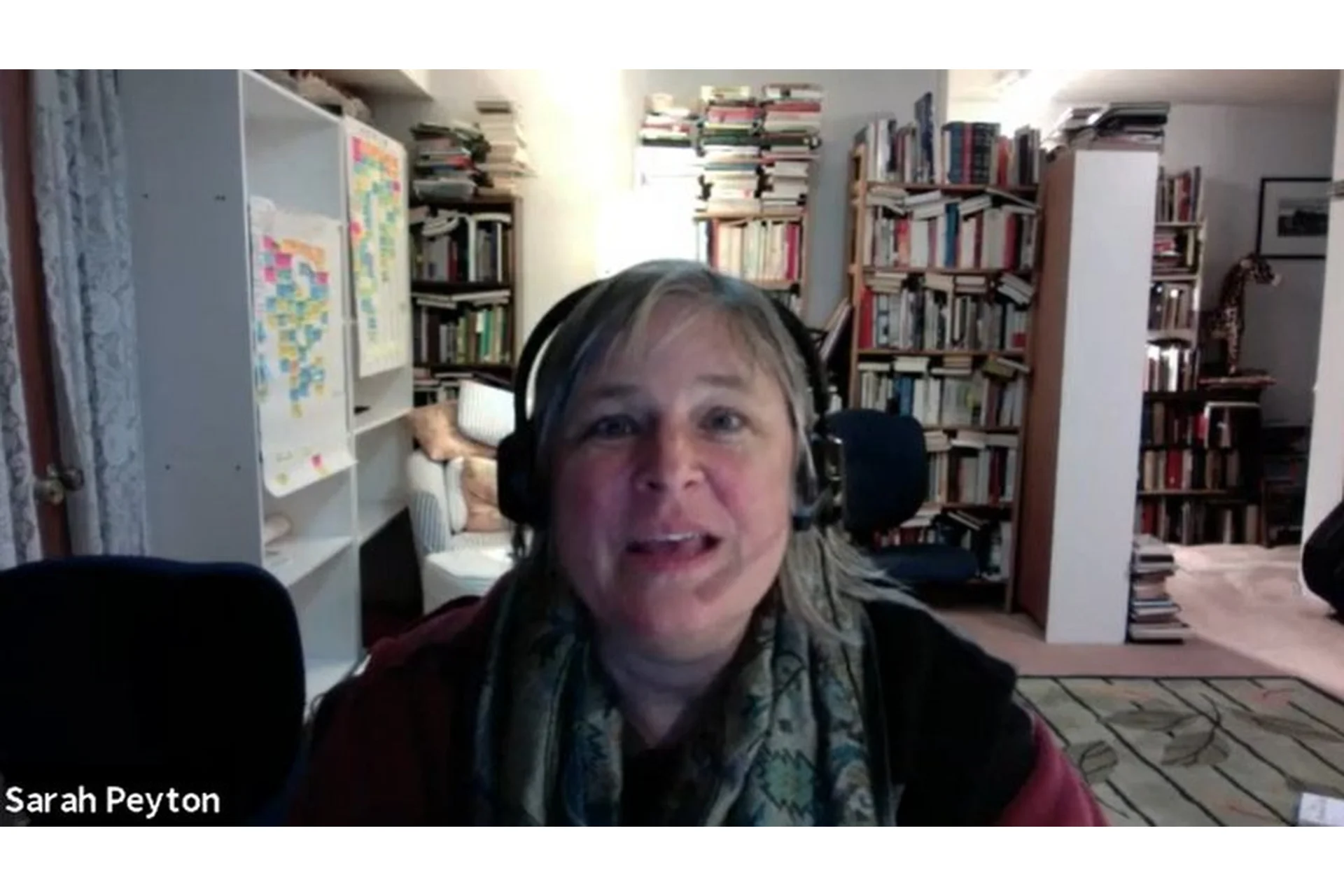 Сара Пейтон. Нейробиология и поле. Часть 2 (Елена Веселаго, Сара Пейтон), фото 1 из 1.