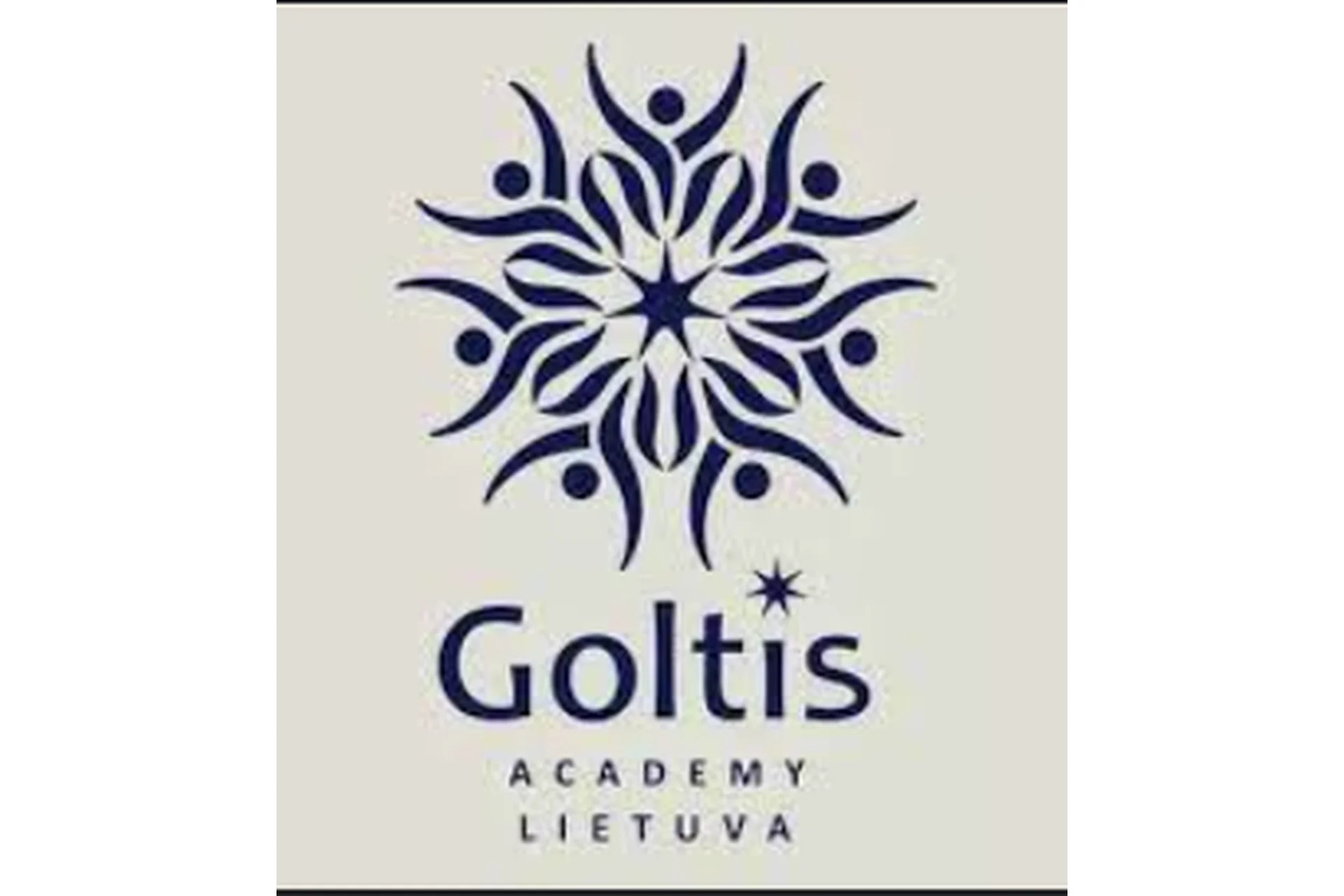[Goltis academy] Исцеляющий Импульс. Выжимка (Голтис), фото 1 из 1.