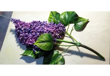 Сирень (Дмитрий Руденский)