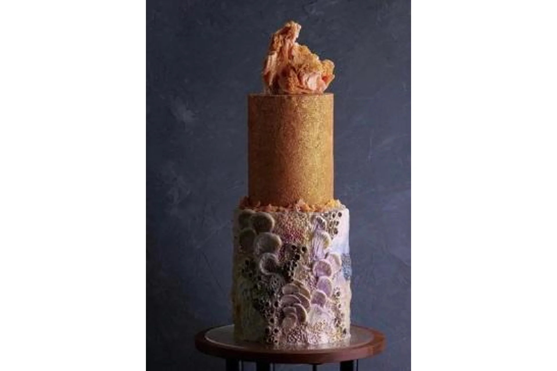 [Tapioka Cake] 5 вебинаров (Екатерина Бурдыкина), фото 1 из 1.