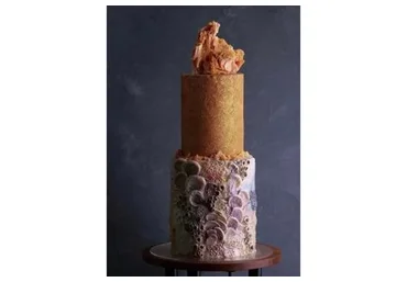 [Tapioka Cake] 5 вебинаров (Екатерина Бурдыкина)