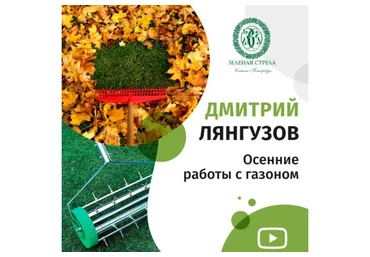 [Зеленая стрела] Осенние работы с газоном (Дмитрий Лянгузов)