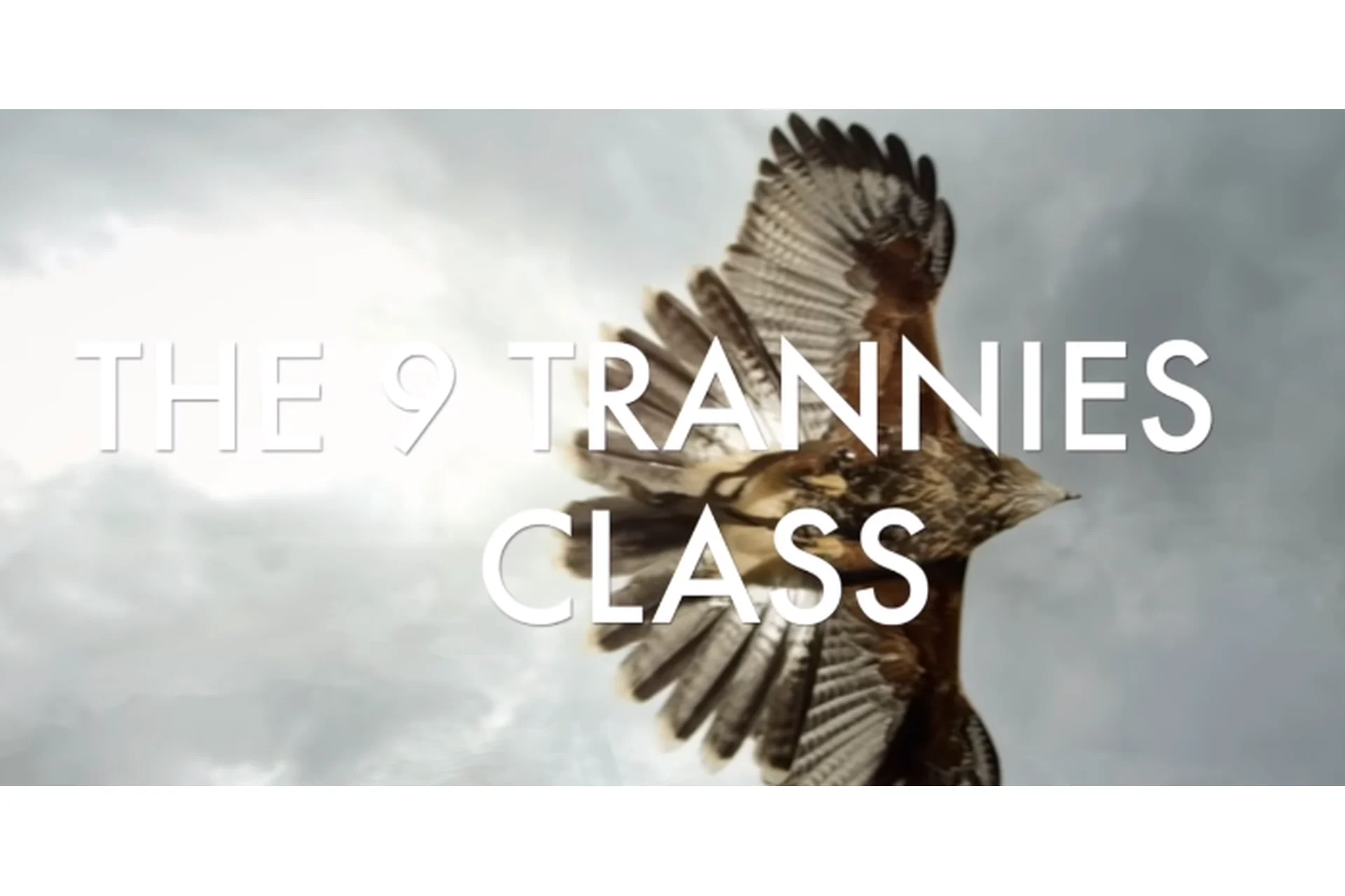 [Access]  9 суперсил / 9 trannies  (Gary Douglas, Dain Heer), фото 1 из 1.