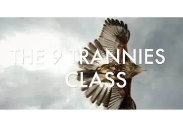 [Access]  9 суперсил / 9 trannies  (Gary Douglas, Dain Heer)