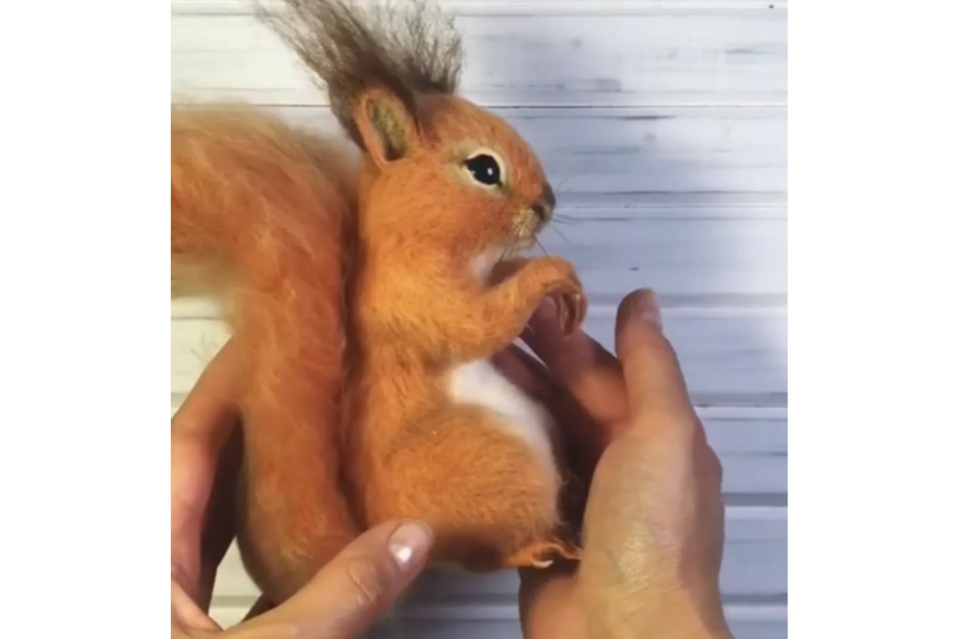 Белочка (Екатерина Сосина), фото 1 из 1.