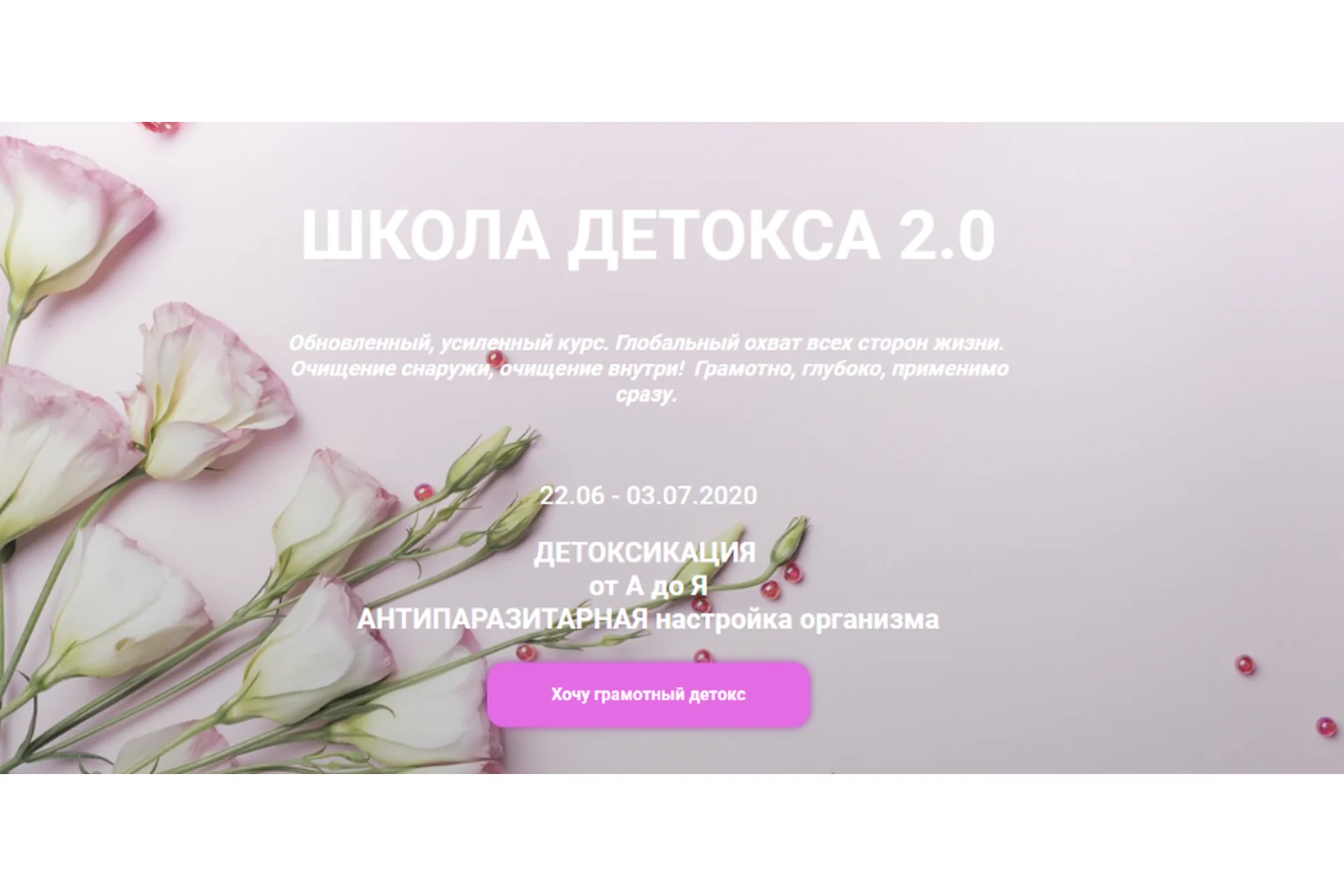 [Школа детокса 2.0] Детоксикация  от А до Я. Антипаразитарная настройка организма (Катерина Форма), фото 1 из 1.