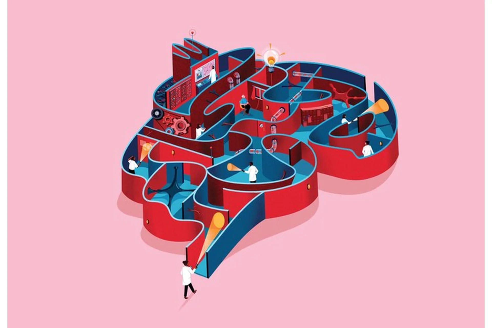 [ВГАПС] Нейропсихология взрослых. Принципы и алгоритмы психологической помощи и реабилитации, фото 1 из 1.