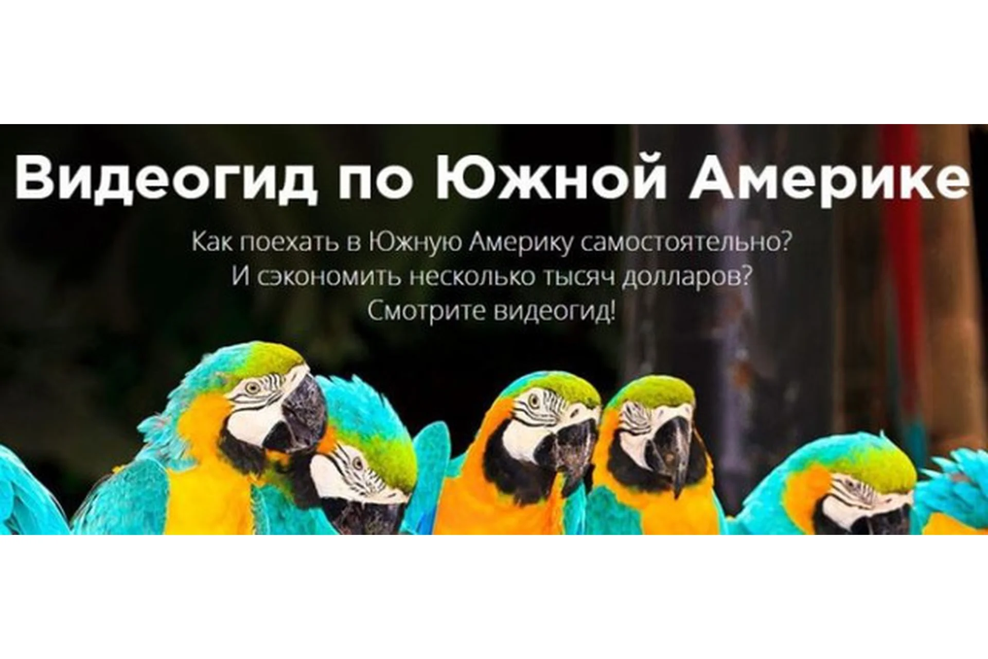 Видеогид по Южной Америке (Владислав Тычков), фото 1 из 1.