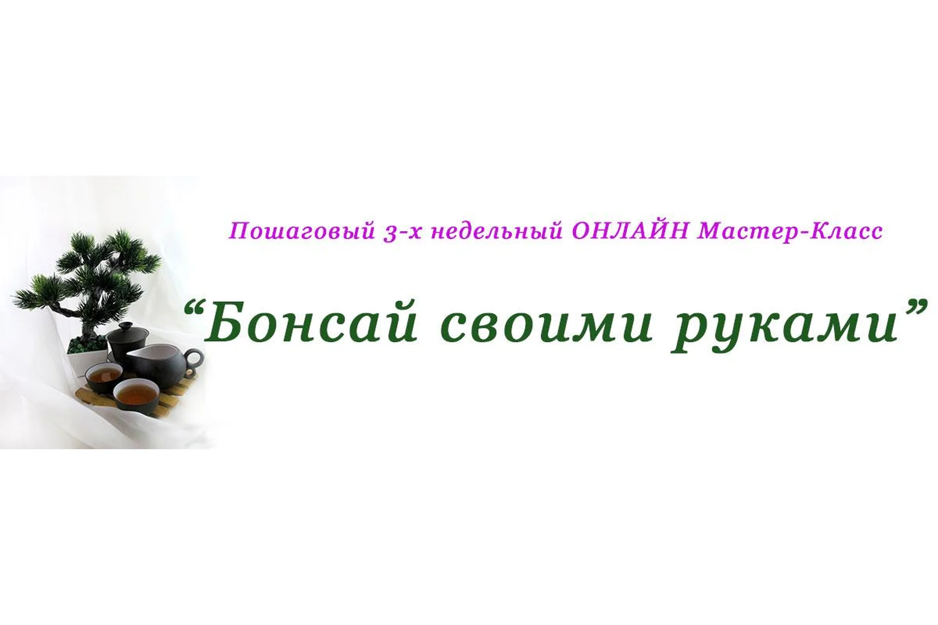 Бонсай своими руками (Юлия Глухова), фото 1 из 1.