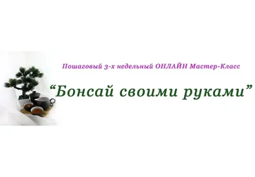 Бонсай своими руками (Юлия Глухова)