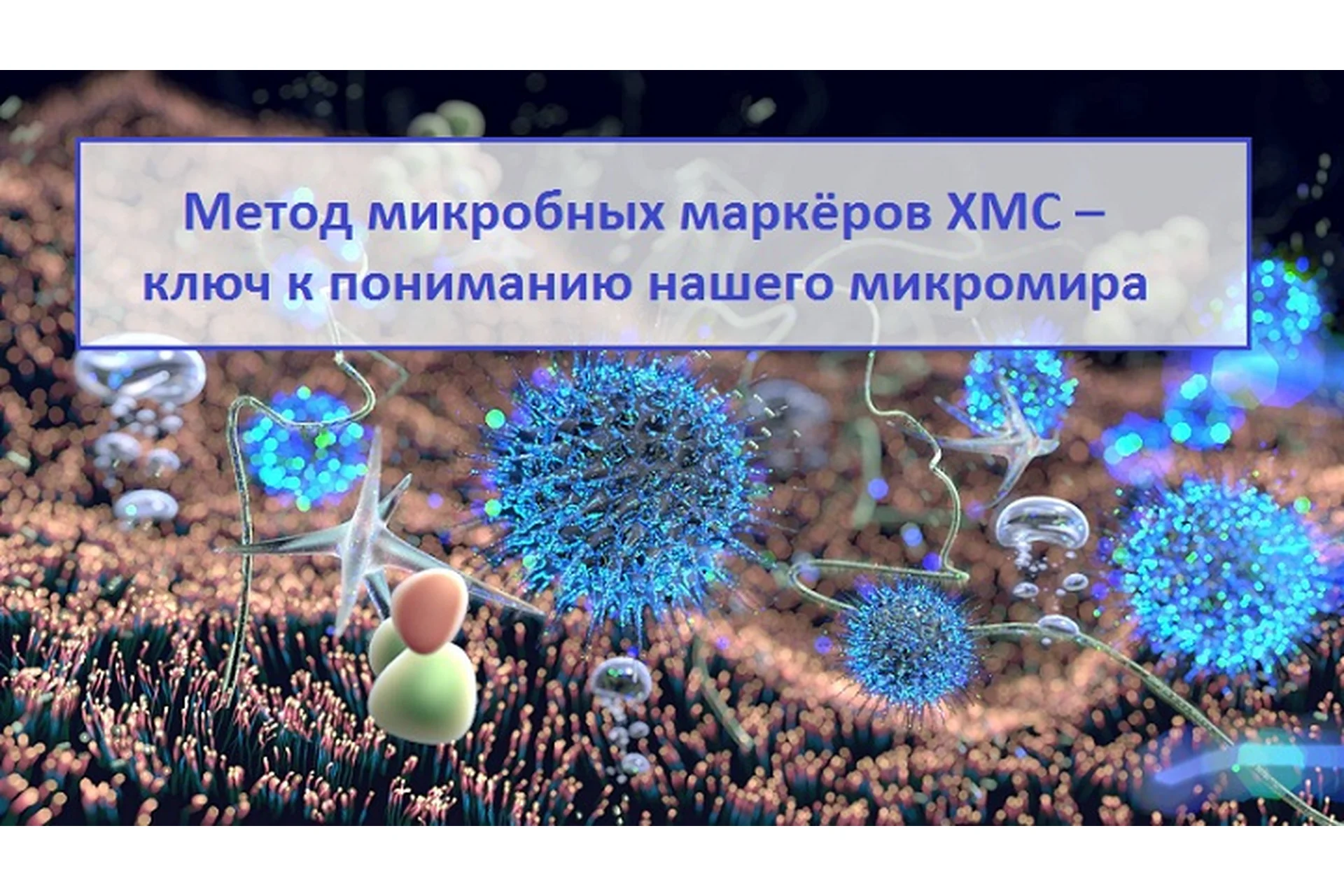 Метод микробных маркёров ХМС ключ к пониманию нашего микромира (Ирина Амельхина, Наталья Арбатская), фото 1 из 1.