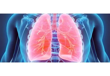 Коррекция легких (Юджиния Квант)