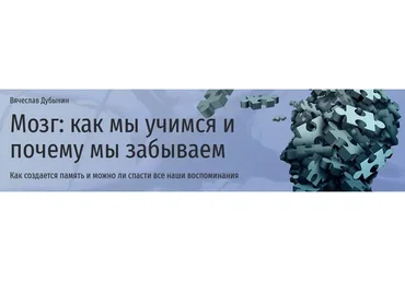 [Прямая речь] Мозг: как мы учимся и почему мы забываем (Вячеслав Дубынин)