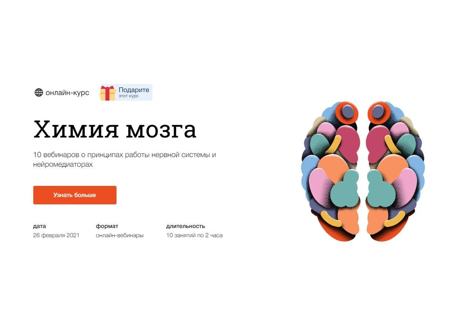 [Синхронизация] Химия мозга 2021 (Вячеслав Дубынин), фото 1 из 1.