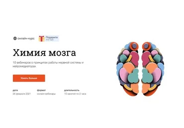 [Синхронизация] Химия мозга 2021 (Вячеслав Дубынин)