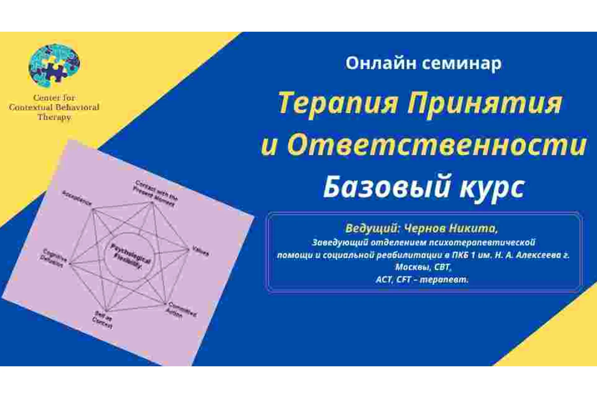 Терапия Принятия и Ответственности. Базовый курс (Никита Чернов), фото 1 из 1.
