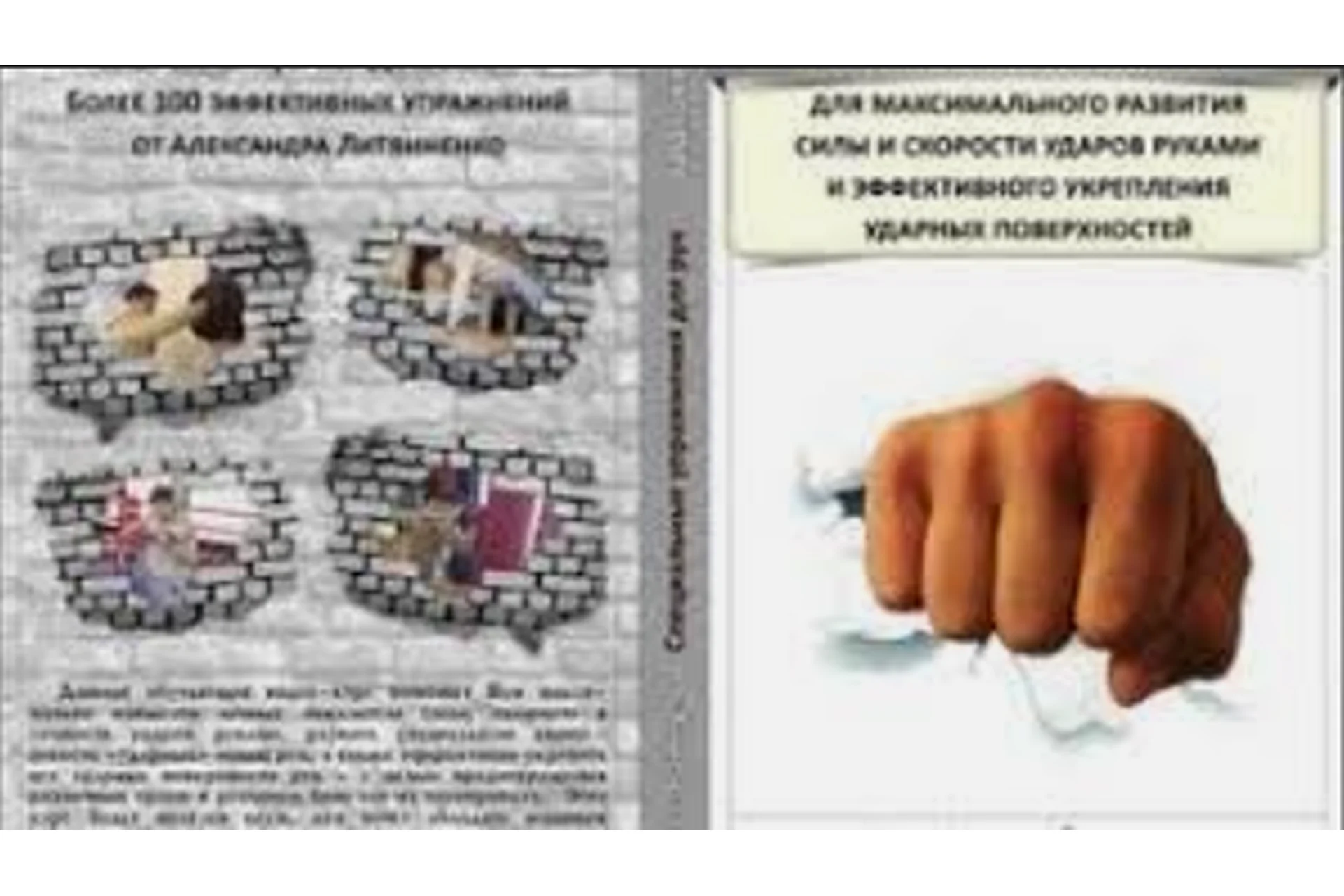 Упражнения для максимального развития силы и скорости ударов руками (Александр Литвиненко), фото 1 из 1.