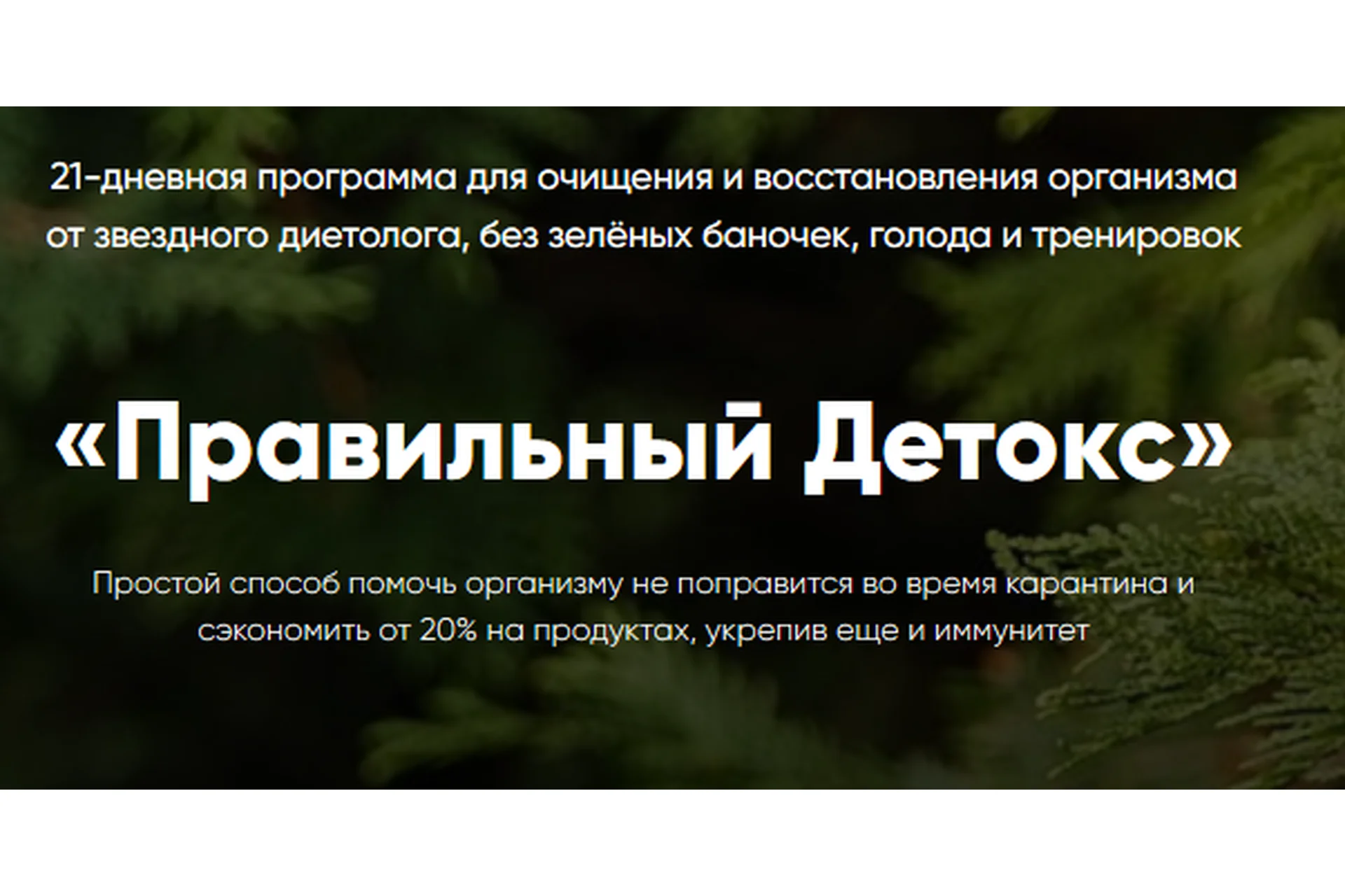 Правильный Детокс, тариф «Детокс Стандарт» (Ольга Деккер), фото 1 из 1.