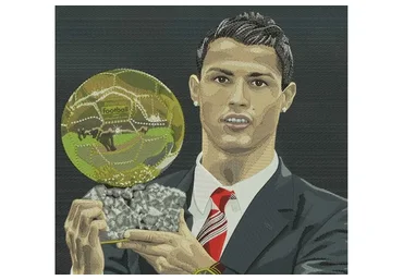 Машинная художественная вышивка в программе Wilcom (Светлана Красноцветова)