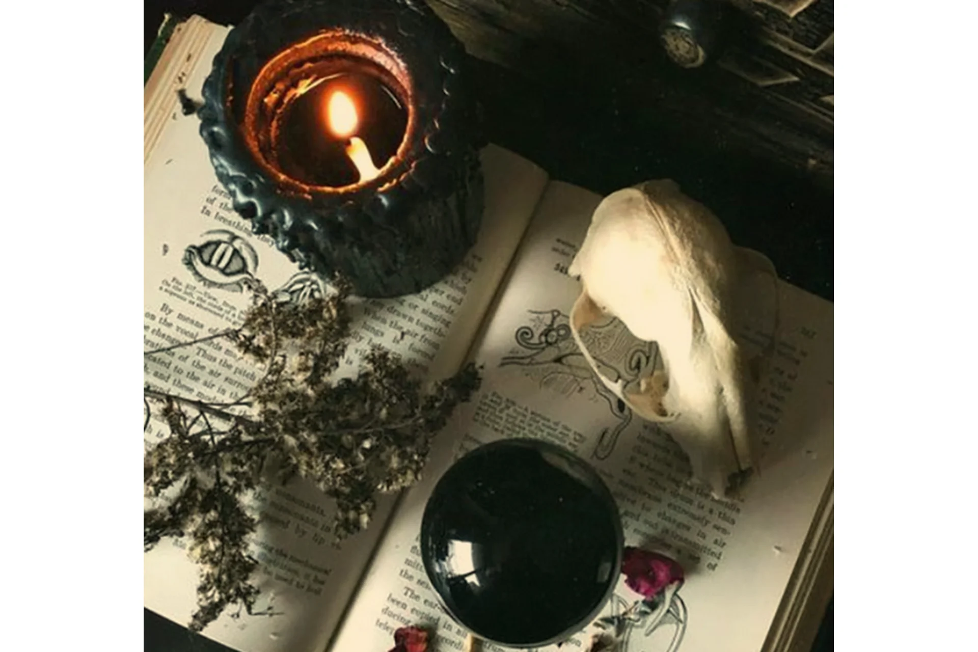 Снятие всех видов негатива (Лана), фото 1 из 1.