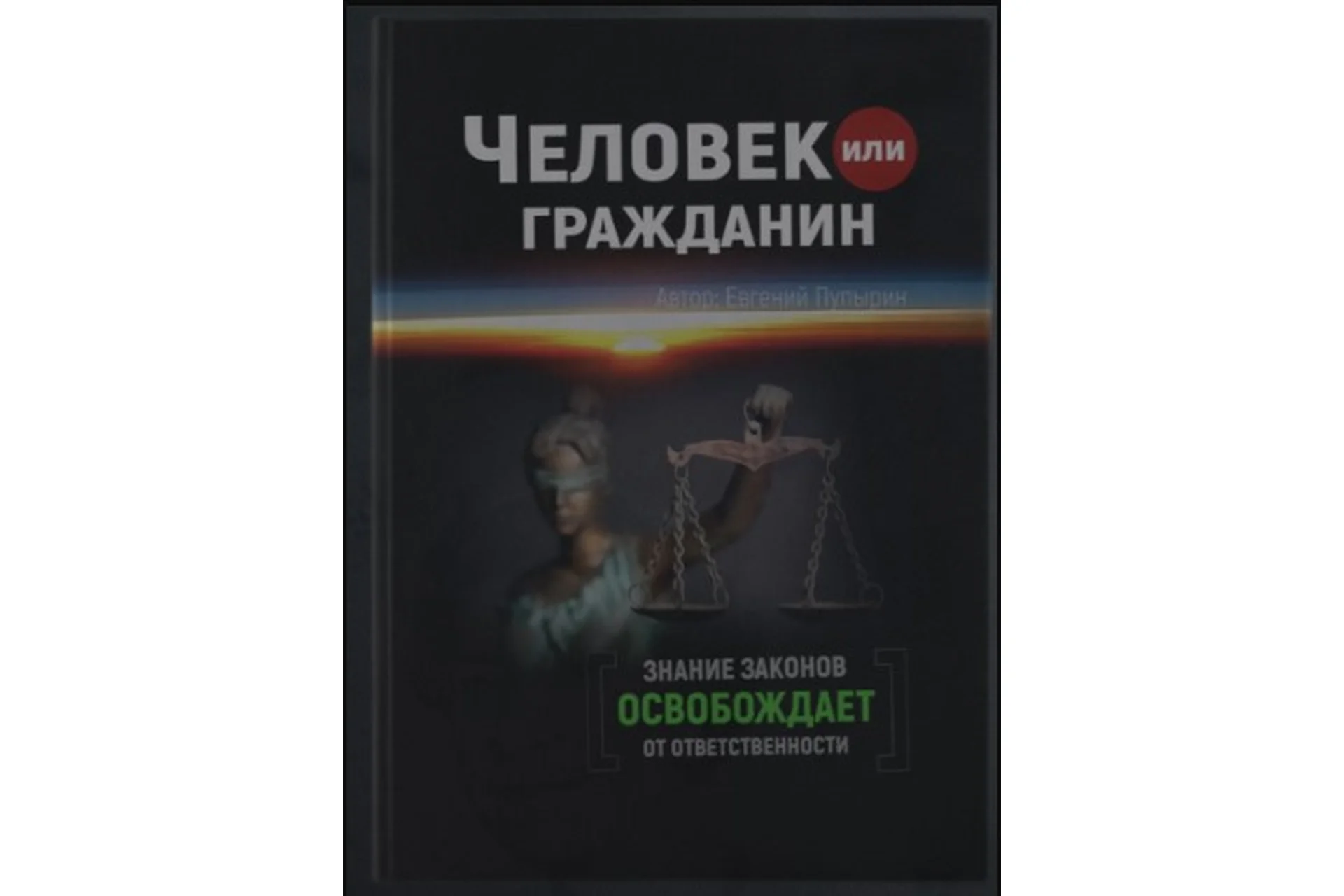 Человек или Гражданин (Евгений Пупырин), фото 1 из 1.