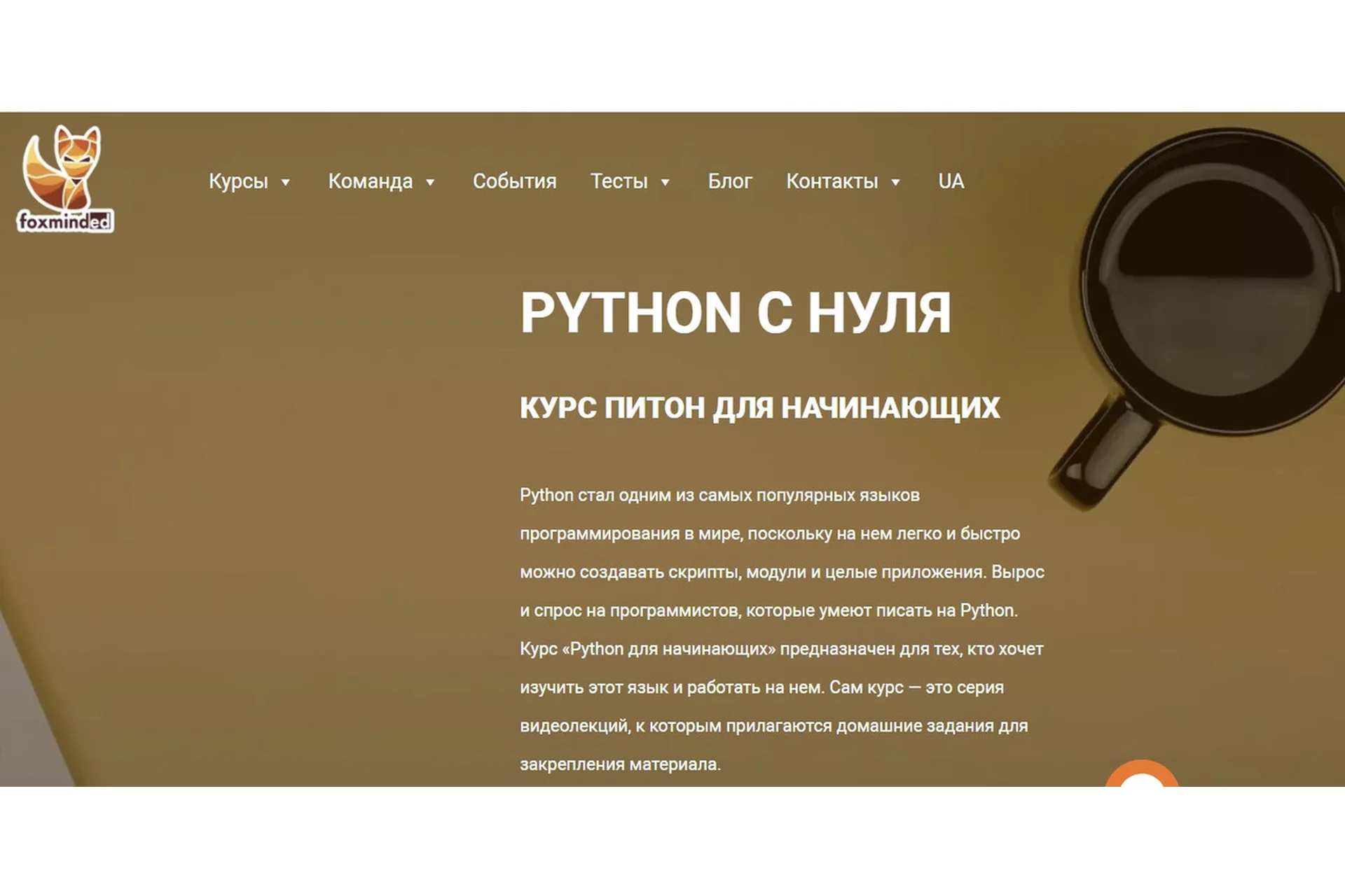 [foxminded] Python с нуля. Курс питон для начинающих (Дмитрий Береговец), фото 1 из 1.