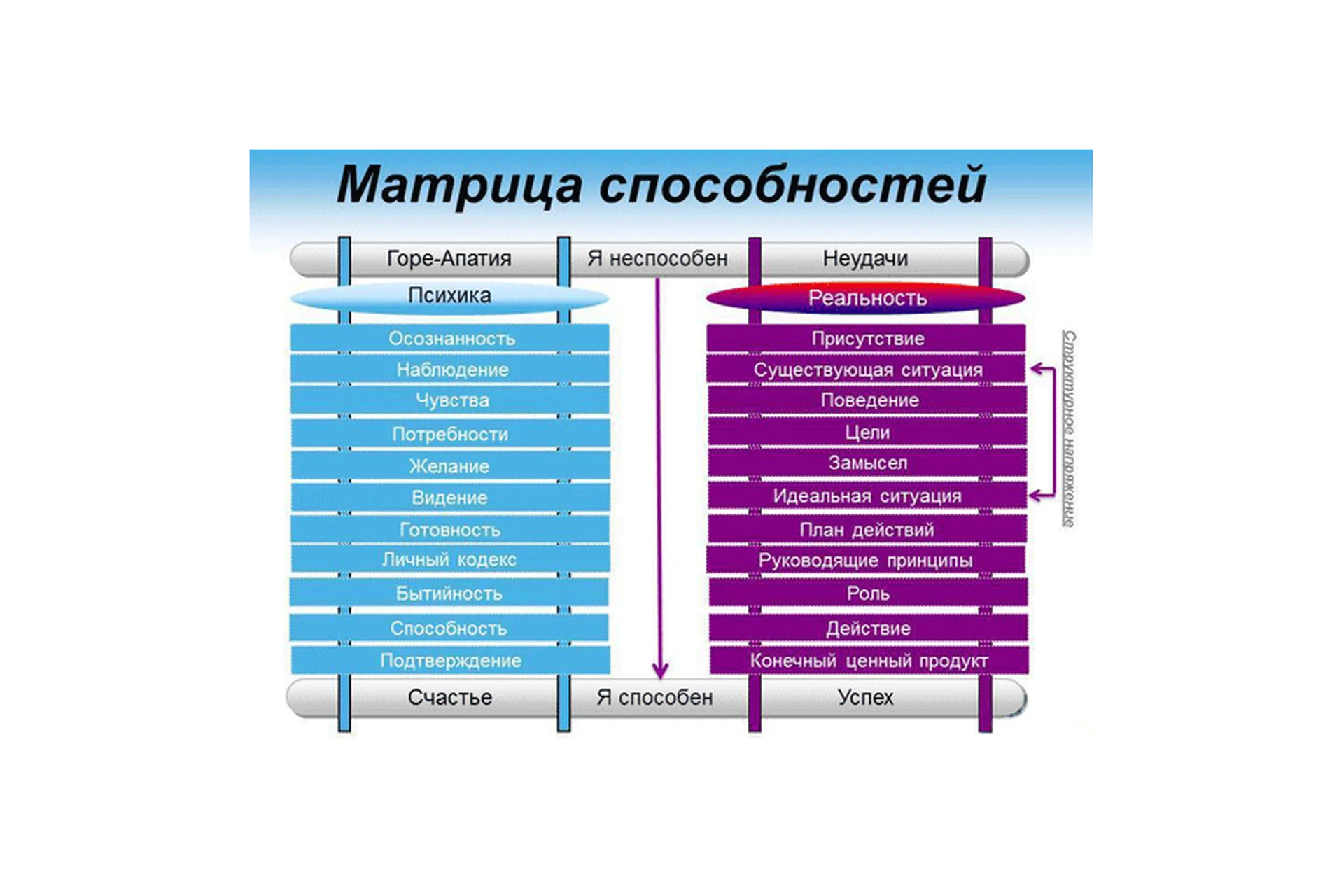 Процессинг по матрице способностей. Пакет «Стандартный» (Олег Матвеев), фото 1 из 1.