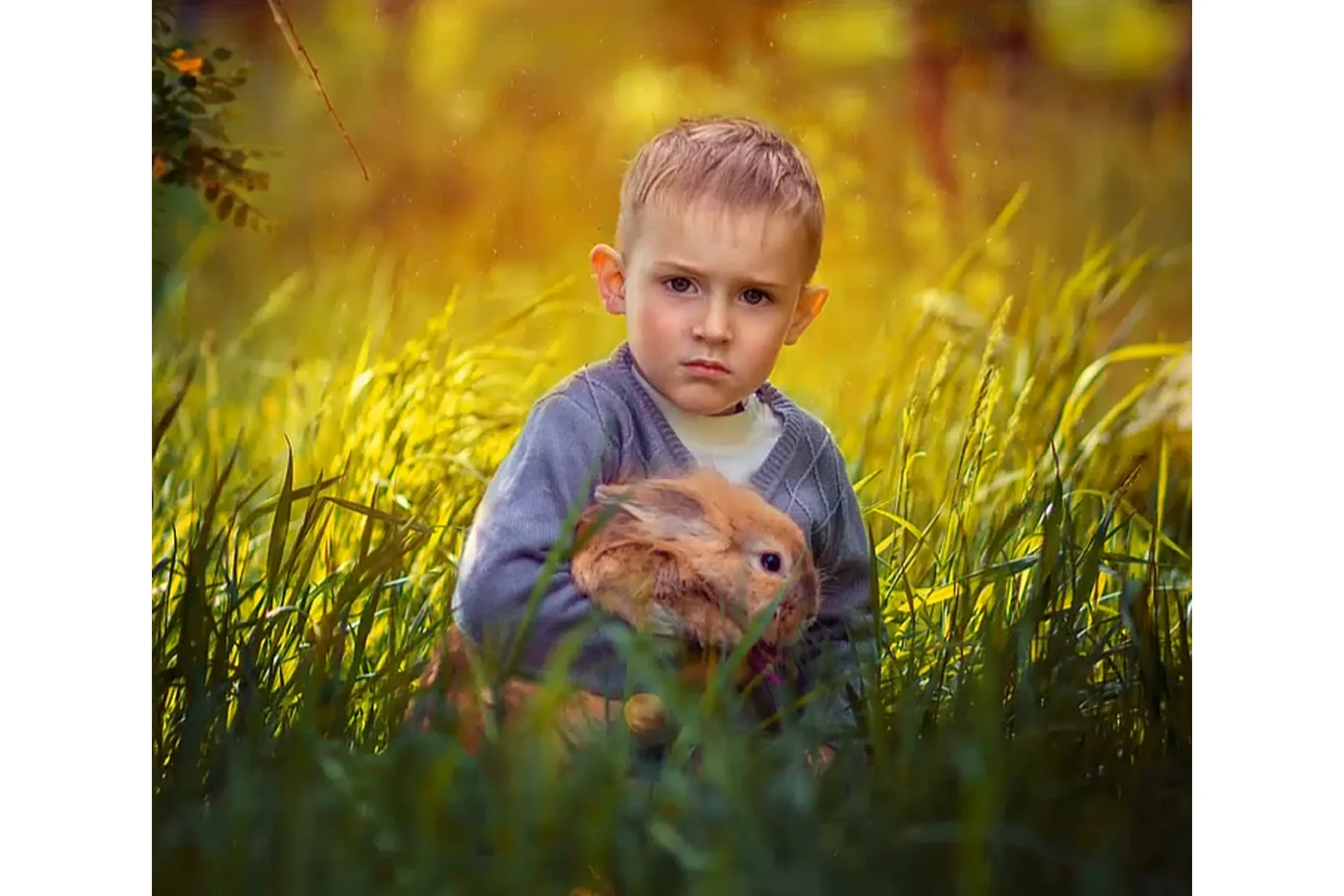 Художественная обработка и тонирование фотографий, 2015 (Анастасия Аникеева), фото 1 из 1.