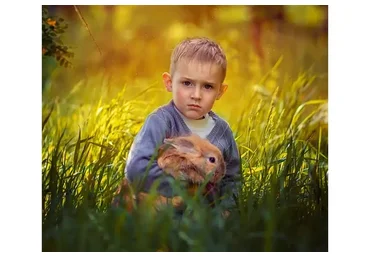 Художественная обработка и тонирование фотографий, 2015 (Анастасия Аникеева)