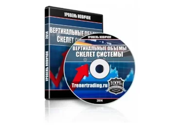 Вертикальные объёмы скилет системы (Сергей Атрощенко)