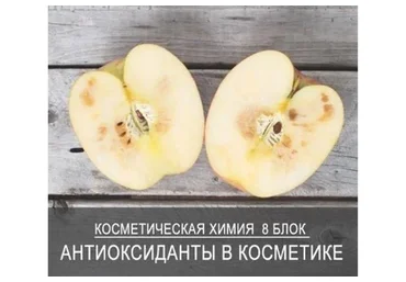 [7koschool] Косметическая химия. Блок 8 «Антиоксиданты в косметике» (Анастасия Семко)