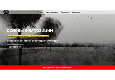 [kalachevaschool] Основы композиции. Тариф Стандарт (Вероника Калачева)