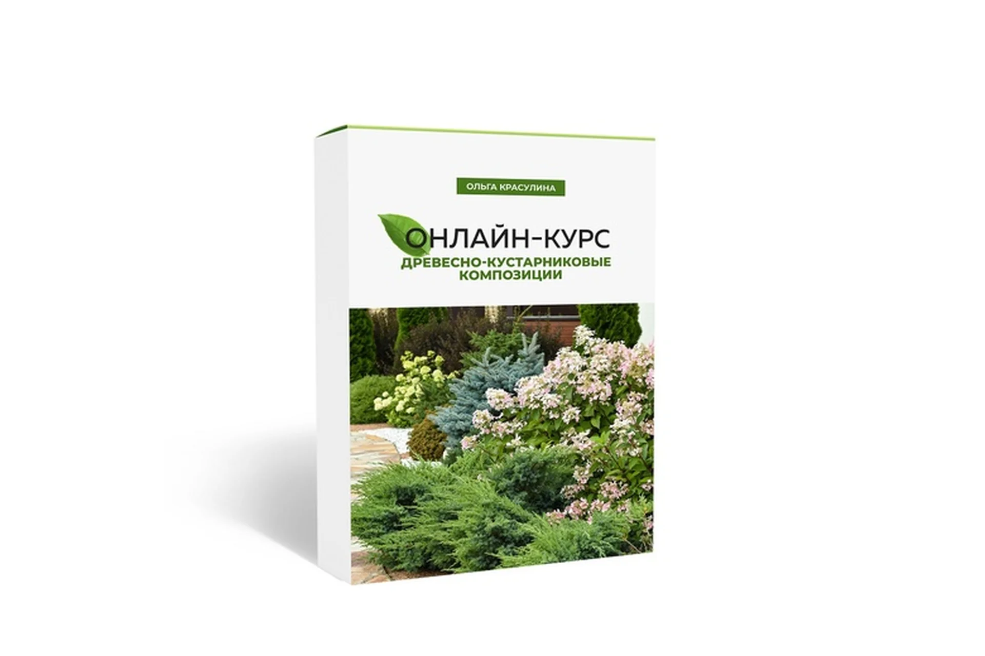 Древесно-кустарниковые композиции (Ольга Красулина), фото 1 из 1.