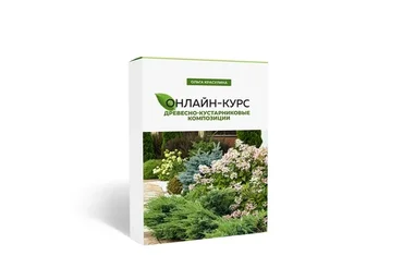 Древесно-кустарниковые композиции (Ольга Красулина)