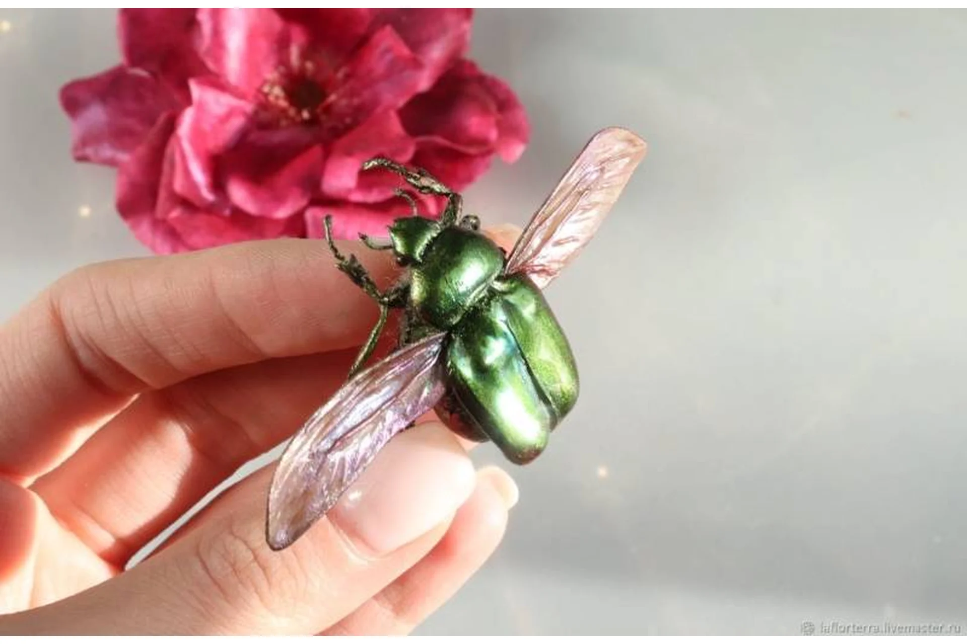 [La Florterra] Видеоурок по зеленому жуку-бронзовке, фото 1 из 1.