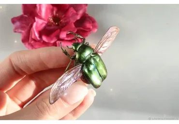 [La Florterra] Видеоурок по зеленому жуку-бронзовке