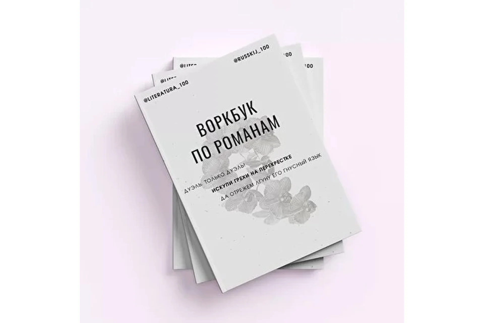 [Literatura100] Воркбук по романам. Том 2. Программа 10-11 класса (Виктория Алексеева), фото 1 из 1.