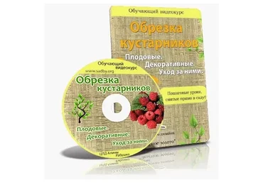 Обрезка кустарников. Плодовые. Декоративные. Уход за ними (Николай Рабушко)