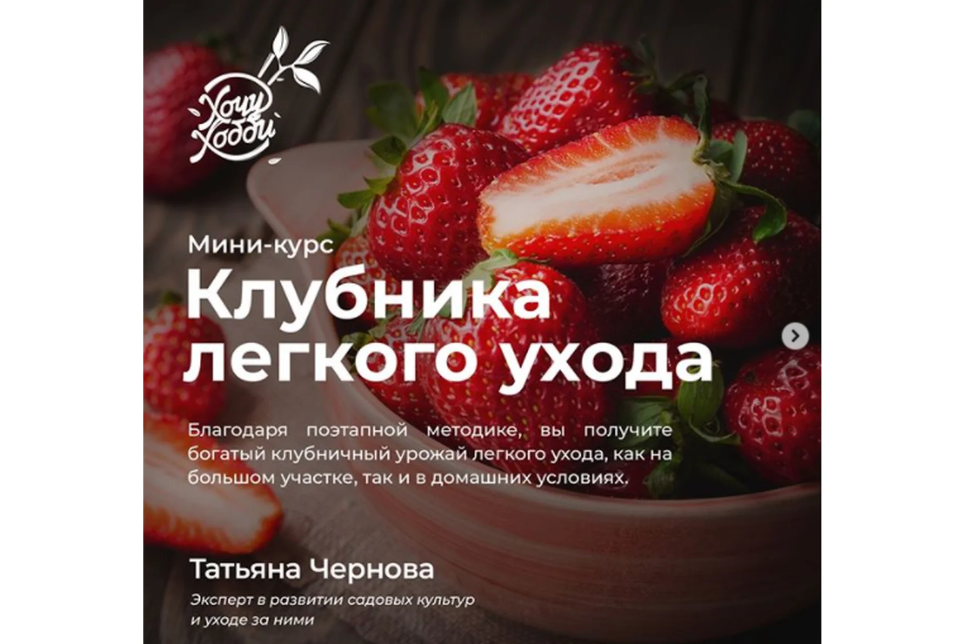 [ХочуХобби] Клубника лёгкого ухода (Татьяна Чернова), фото 1 из 1.