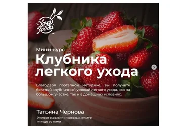 [ХочуХобби] Клубника лёгкого ухода (Татьяна Чернова)