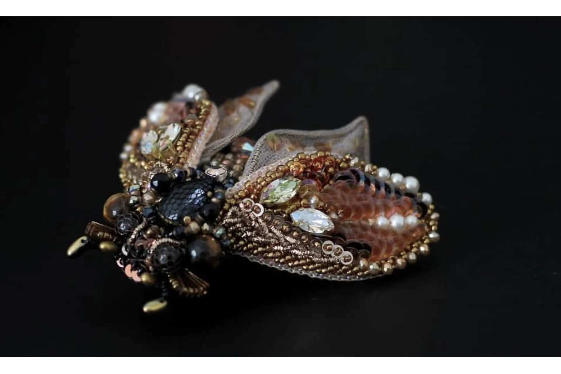 Жук Цикада (Валентина Тельпиз), фото 1 из 1.