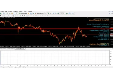 Acrobat forex (Алексей Швецов)