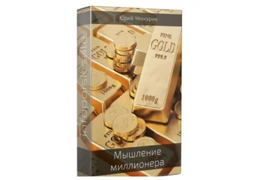Мышление миллионера (Юрий Чекчурин)