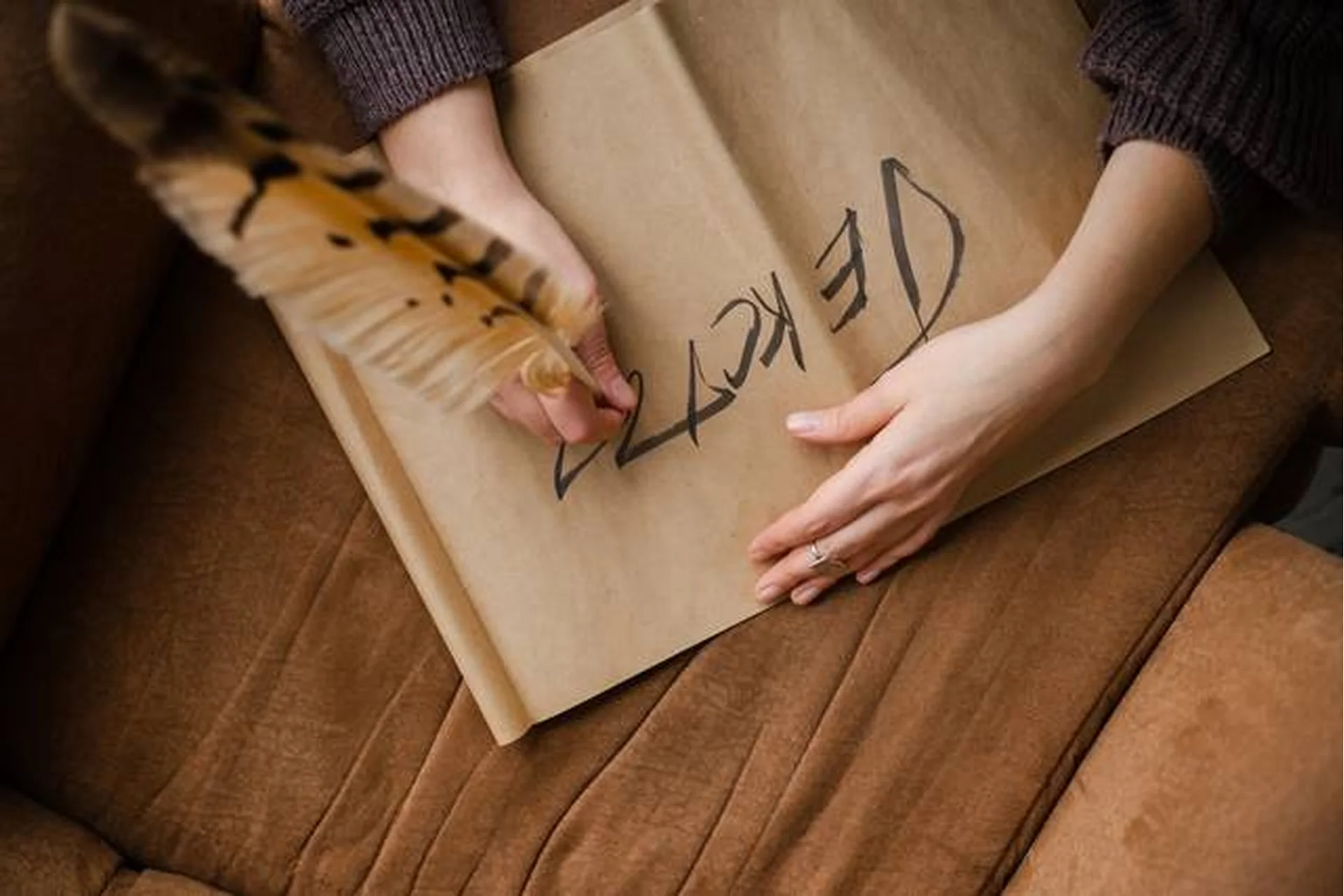 Честные живые тексты (Светлана Патрушева), фото 1 из 1.