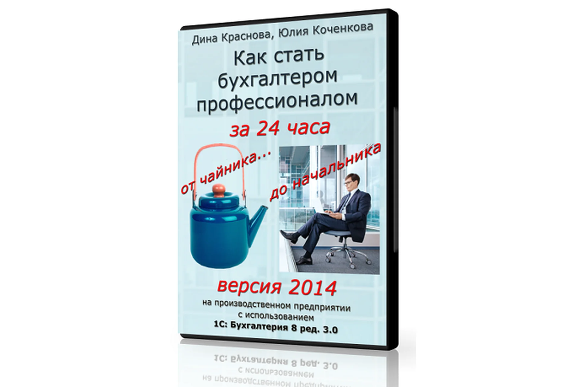 Как стать бухгалтером-профессионалом за 24 часа: от чайника до начальника. 2014 (Дина Краснова), фото 1 из 1.