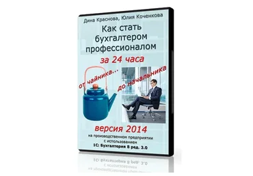 Как стать бухгалтером-профессионалом за 24 часа: от чайника до начальника. 2014 (Дина Краснова)