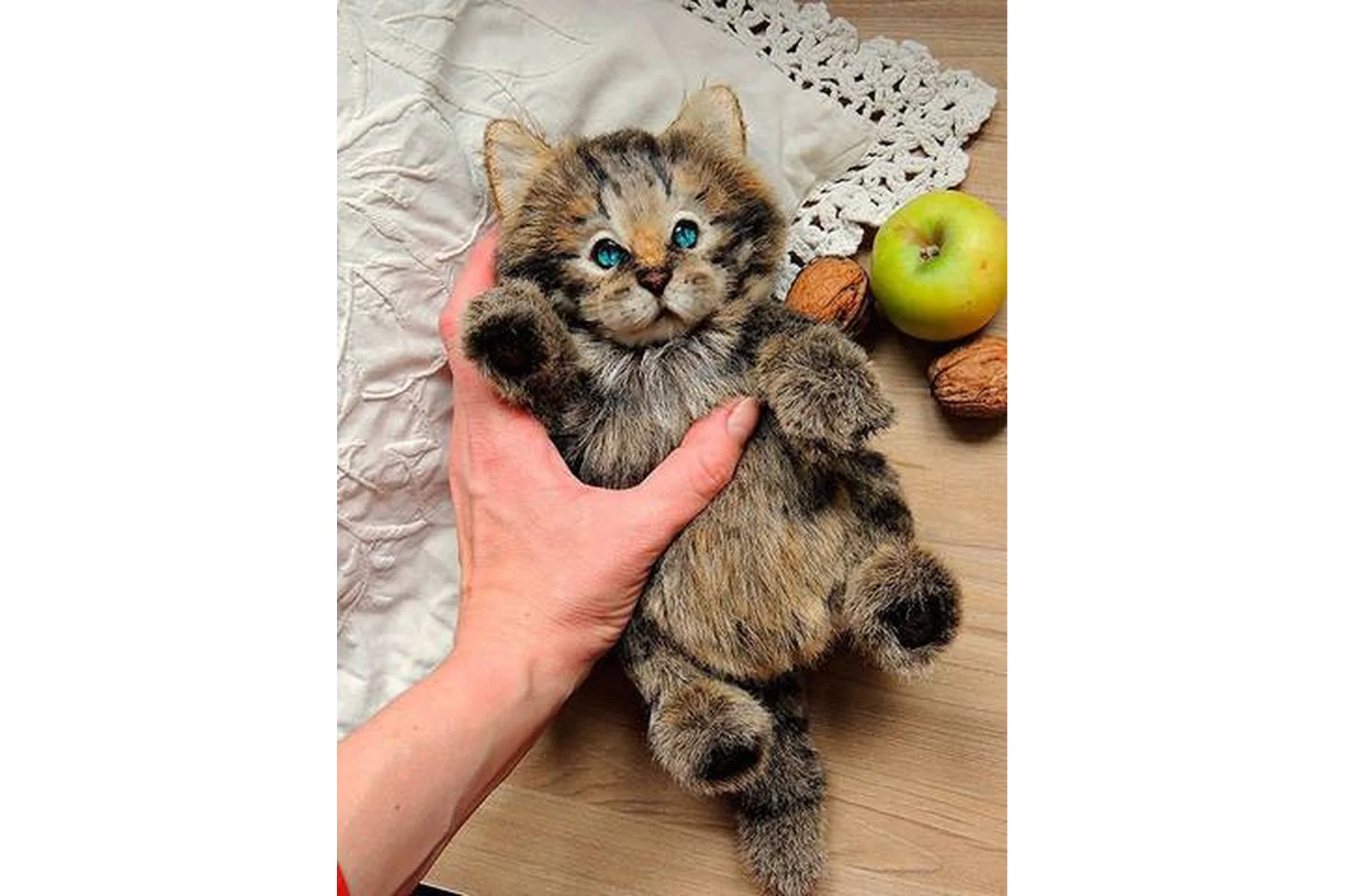 Кот Мейн Кун в стиле натюр (Екатерина Макогон), фото 1 из 1.