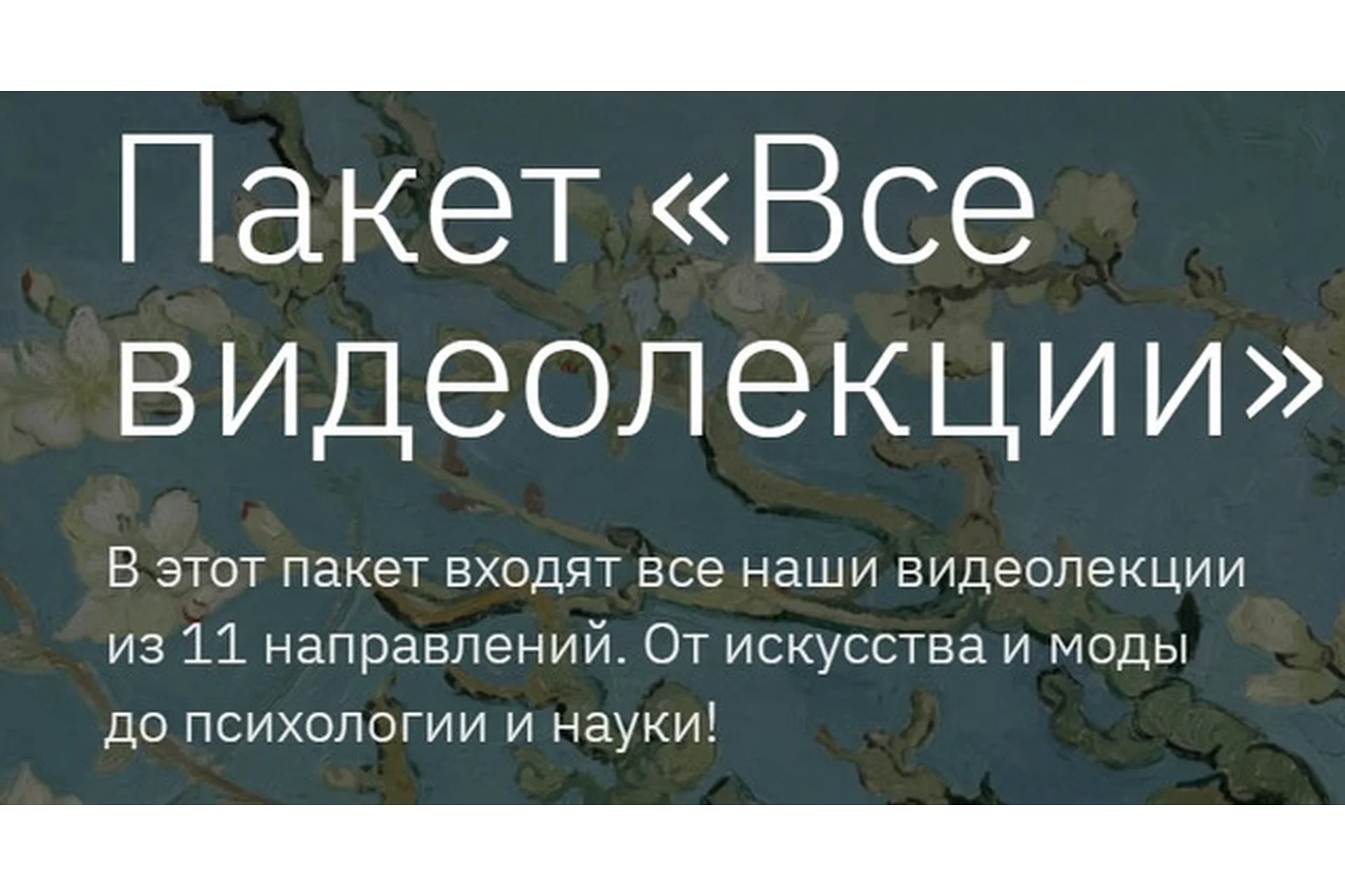 [Правое полушарие интроверта] Пакет Все видеолекции (Алена Репина, Никита Добряков), фото 1 из 1.