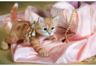 Реалистичный котенок (Елена Федоряк)