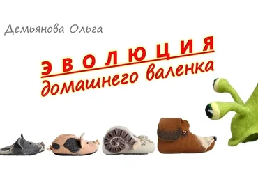 Эволюция домашнего валенка (Ольга Демьянова)